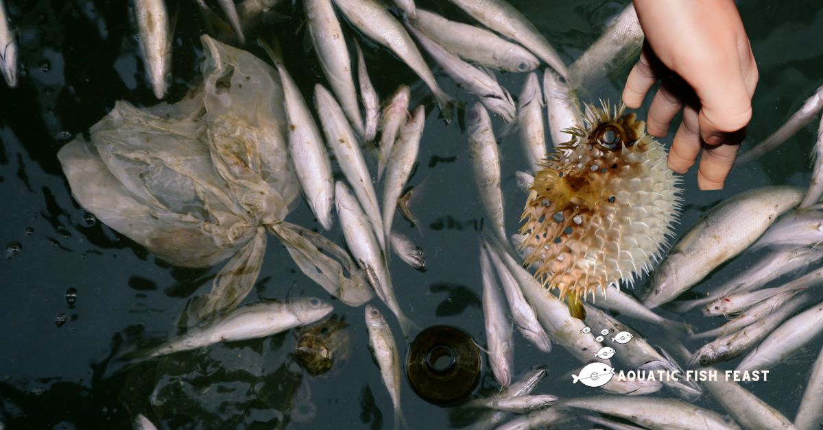 Read more about the article A Closer Look: Can Fish Food Kill Humans