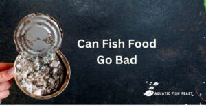 Read more about the article Fish Food Expiration: Can Fish Food Go Bad