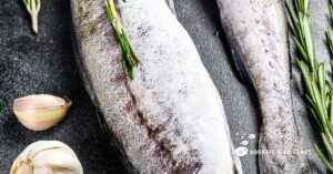 Read more about the article What Is A Pollock Fish Recipe(Have You Seen This)