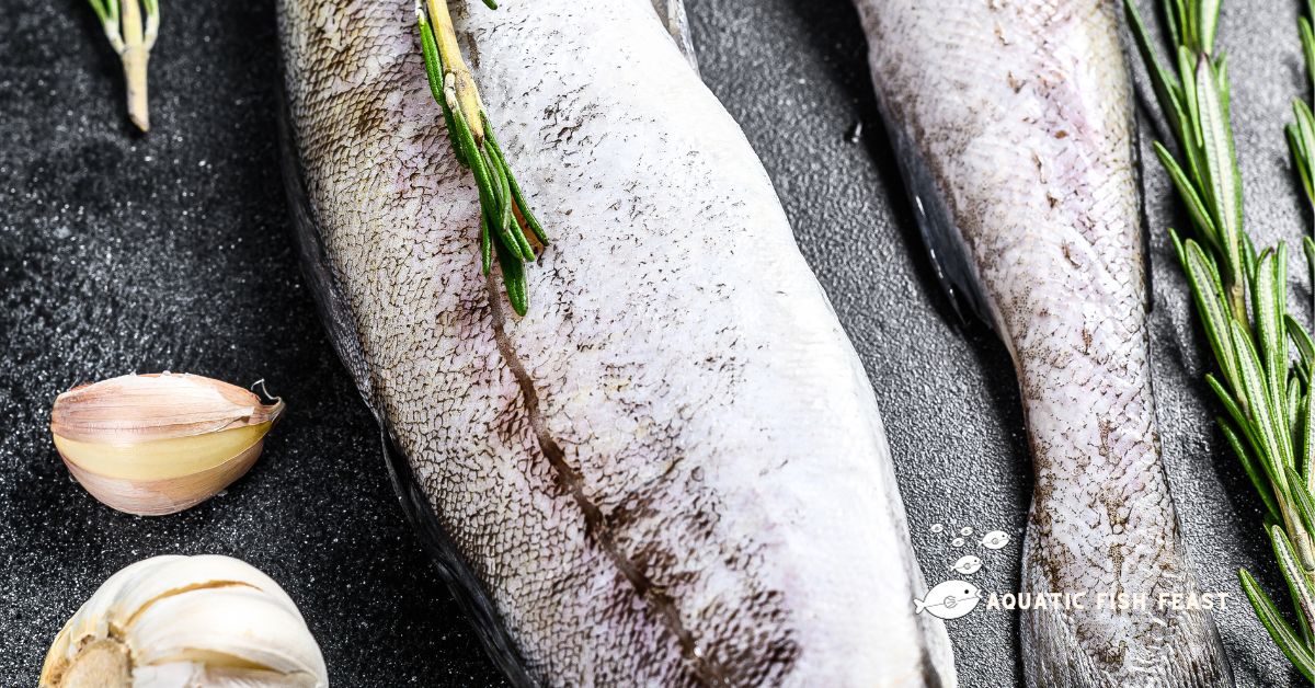 Read more about the article What Is A Pollock Fish Recipe(Have You Seen This)