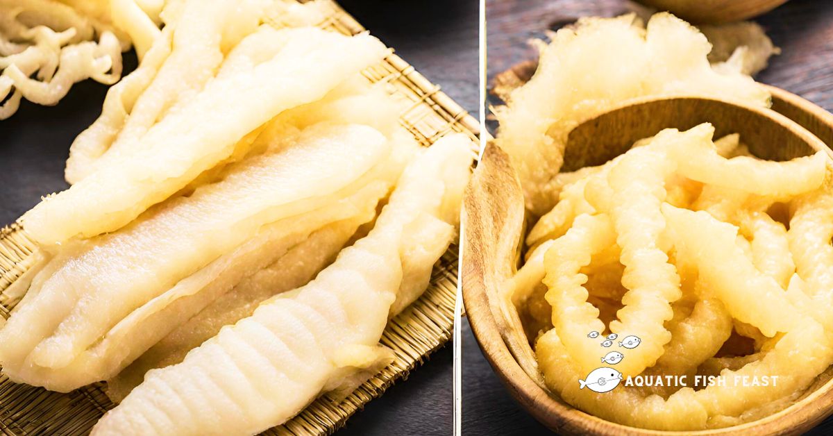 You are currently viewing Fish Maw Vs Fish Stomach