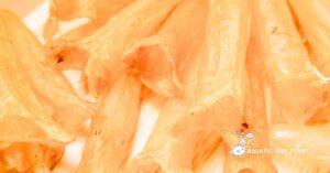 Read more about the article Fish Maw Benefits (Explained)