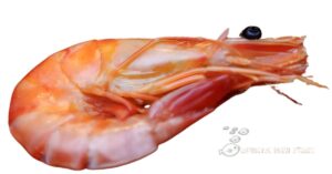 Read more about the article The Quest For The King Of Prawns: Which Prawns Are The Biggest