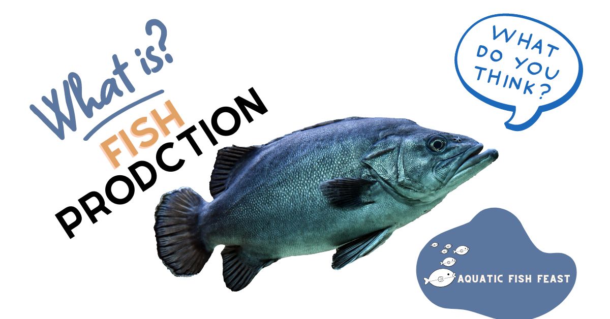 Read more about the article What Is Fish Production: A Global Perspective