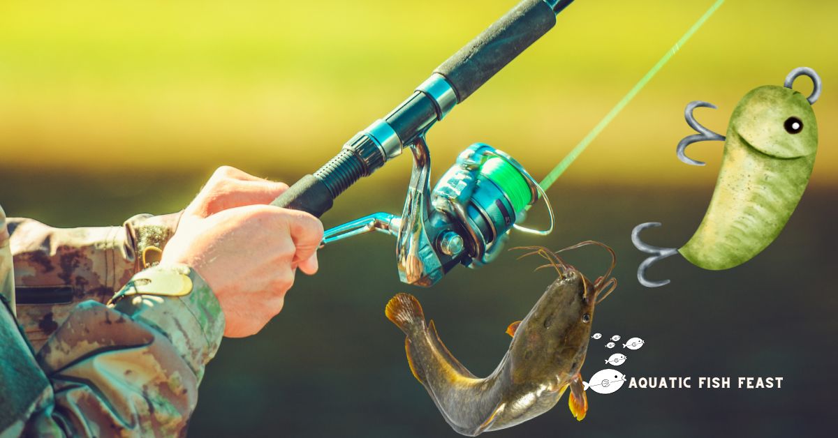 Read more about the article What The Best Bait For Catfish Fishing