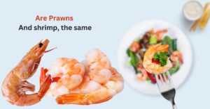 Read more about the article Are Prawns And Shrimp The Same