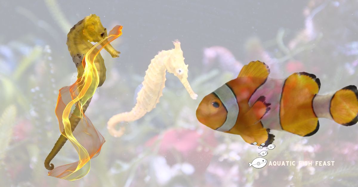 You are currently viewing Can Clownfish And Seahorses Live Together