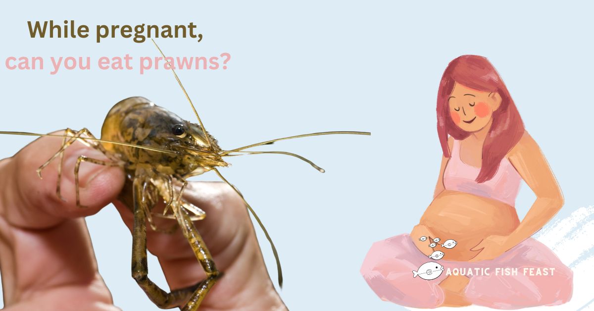 Read more about the article Can Prawns Be Eaten During Pregnancy