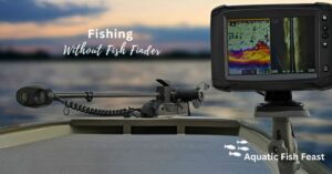 Read more about the article Fishing Without Fish Finder