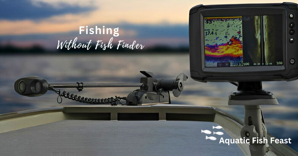 You are currently viewing Fishing Without Fish Finder