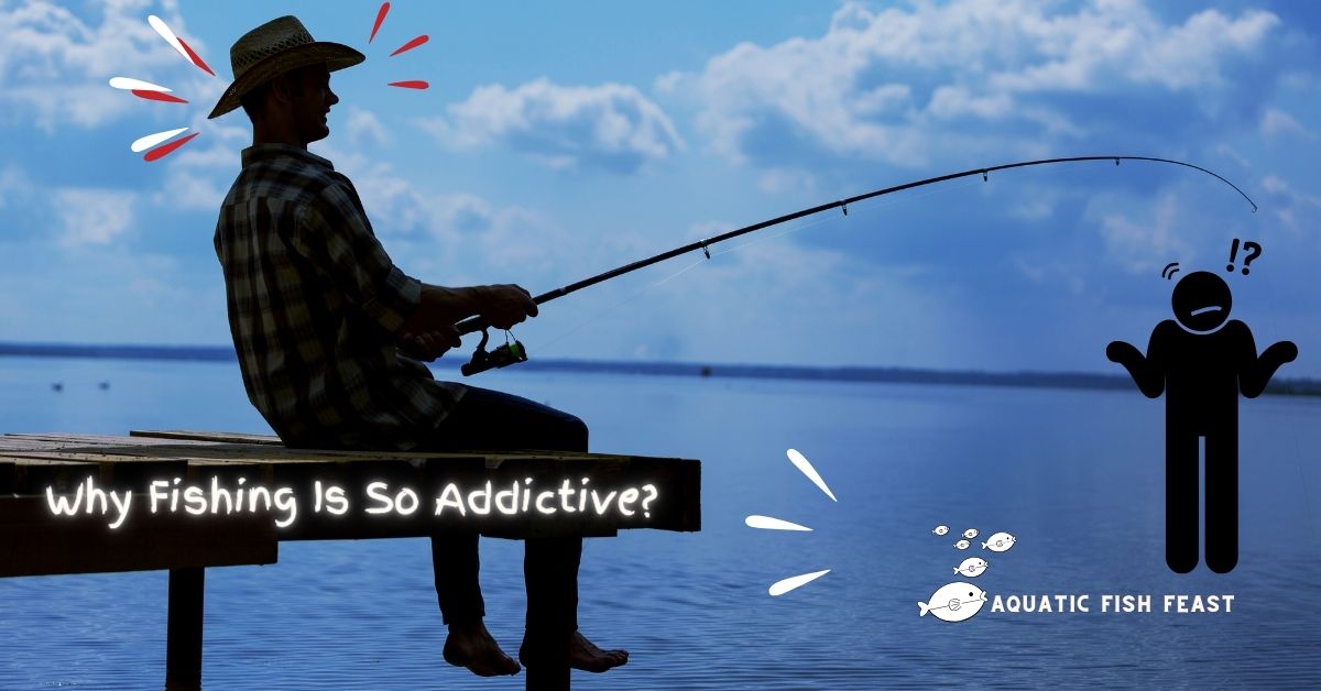 Why Fishing Is So Addictive