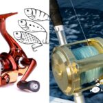 Comprehensive Guide to Fishing Reel Types and Their Uses