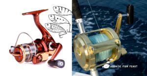 Read more about the article Comprehensive Guide to Fishing Reel Types and Their Uses